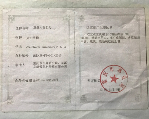 资质荣誉1