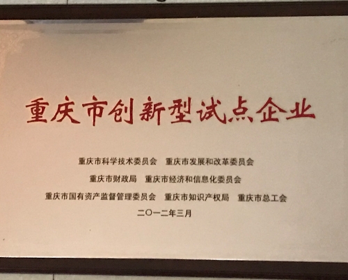 重庆市创新型试点企业