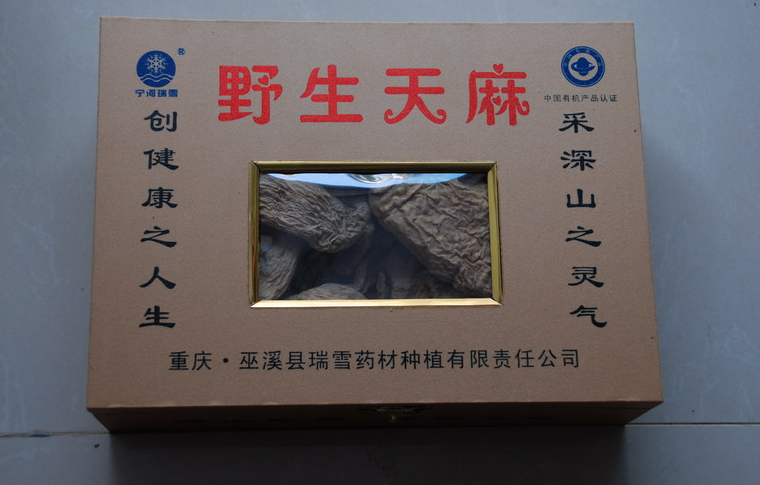 野生天麻 野生天麻