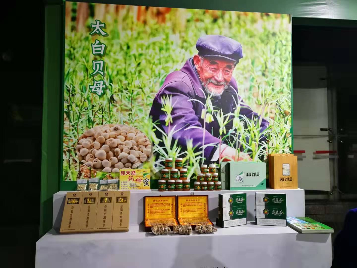首届三峡药博会巫溪太白贝母展区