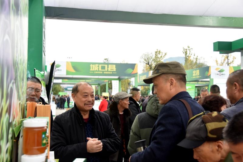 巫溪瑞雪药材总经理陈基禄正在介绍太白贝母