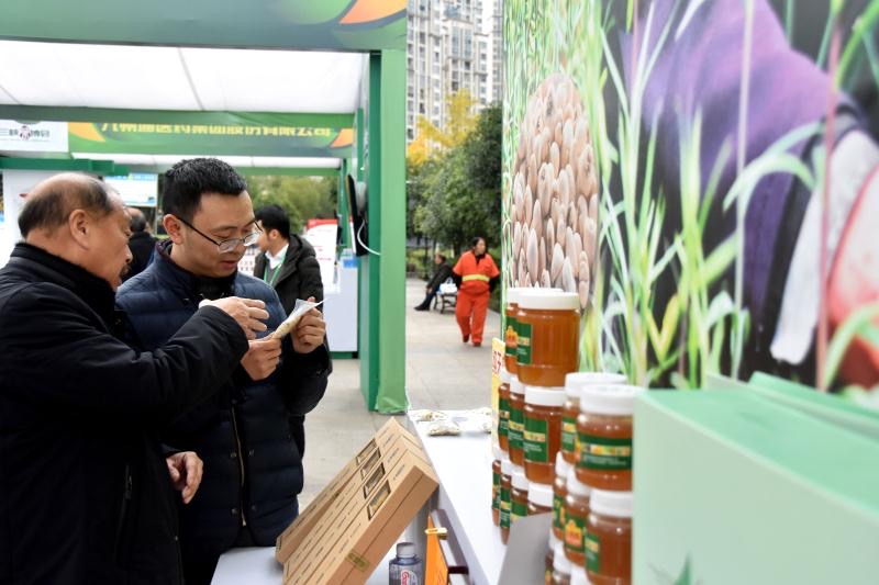 巫溪瑞雪药材总经理陈基禄正在介绍太白贝母